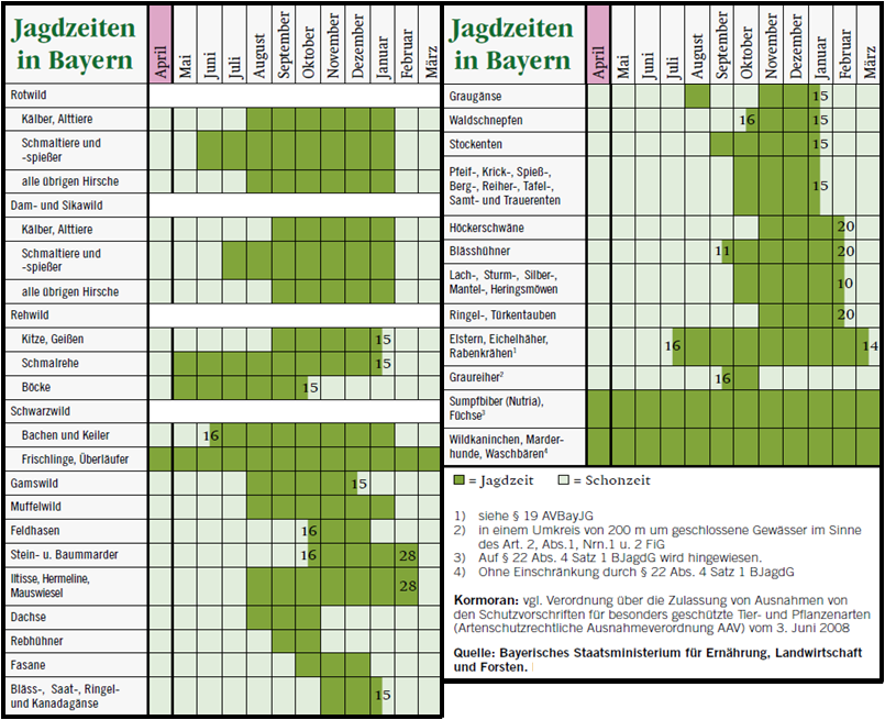 Jagdzeiten